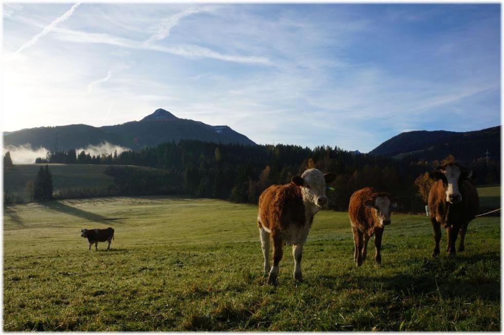 Alpin Apart Flachau Exterior foto